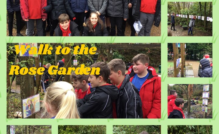 Image of Year 6 Rose garden walk 