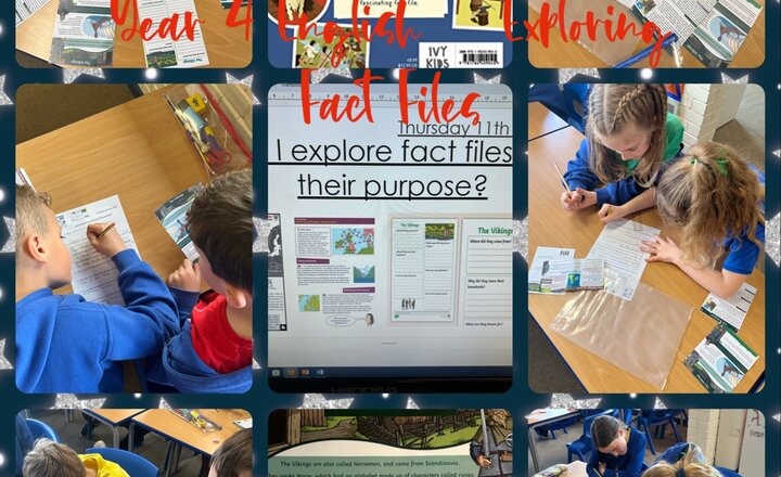 Image of Year 4 English - Exploring Fact Files 