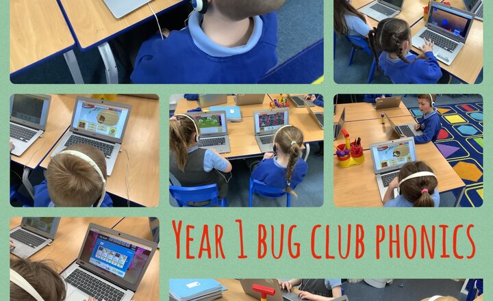 Image of Year 1 Bug Club Phonics