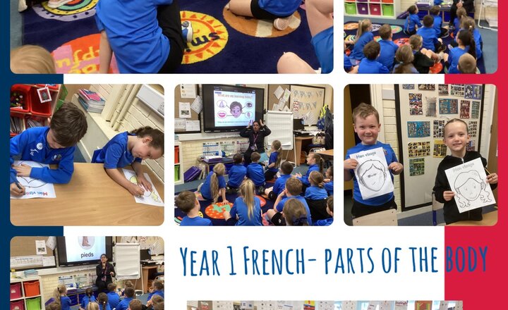 Image of Year 1 French- Parts of the Body 