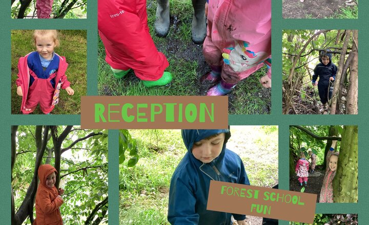 Image of Reception- forest school 