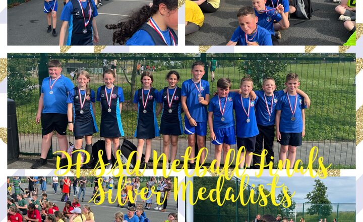 Image of DPSSA Netball Finals Night