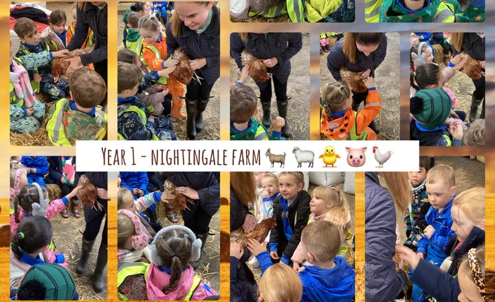 Image of Year 1 Science and PSHE- Nightingale Farm Visit 