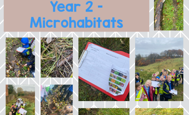 Image of Year 2 - Microhabitat Walk