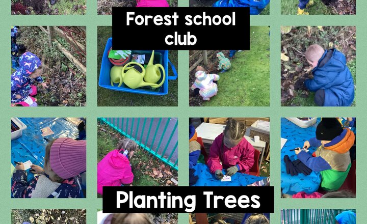Image of Forest school club- Planting Trees
