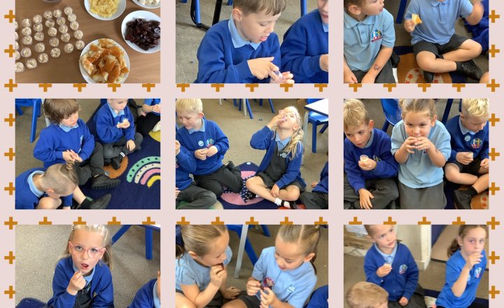 Image of Year 1 RE: Where Does Our Food Come From?