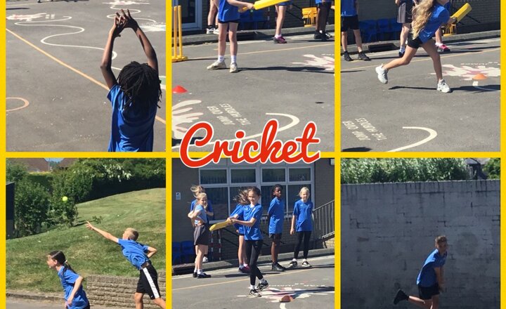 Image of Year 6 P.E - Cricket