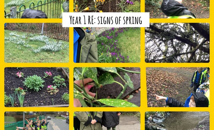 Image of Year 1 RE: Signs of Spring