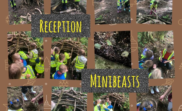 Image of Reception: Forest Schools