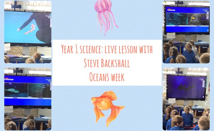 Image of Year 1 Science: Live Lesson with Steve Backshall for Oceans Week