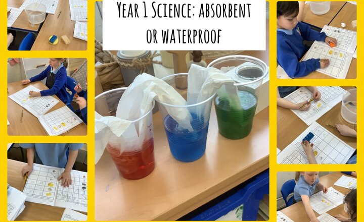 Image of Year 1 Science: Absorbent or Waterproof