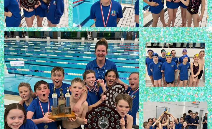 Image of DPSSA Swimming Champions 