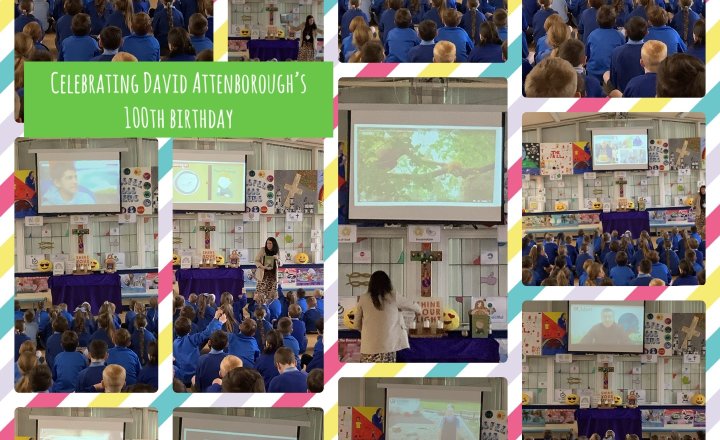 Image of Celebrating Sir David Attenborough’s 100th Birthday