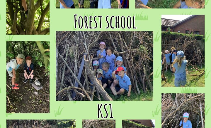 Image of Forest school