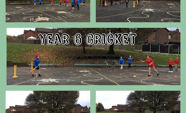 Image of Year 6 - Cricket