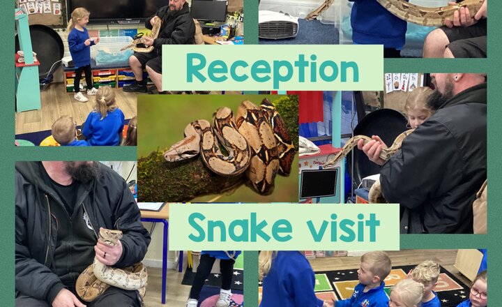 Image of Reception-Snake visit