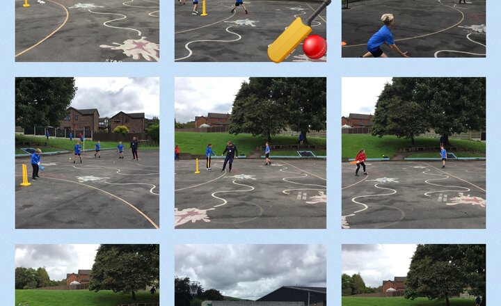 Image of Year 6 - Cricket