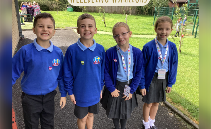 Image of Welcome Wellbeing Warriors in Year 4 