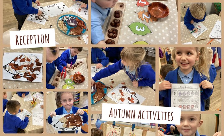 Image of Reception Autumn Activities