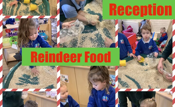 Image of Reception Reindeer Food 