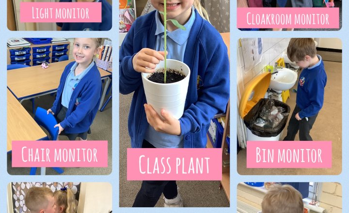 Image of Year 1 PSHE: Taking Care Of Something