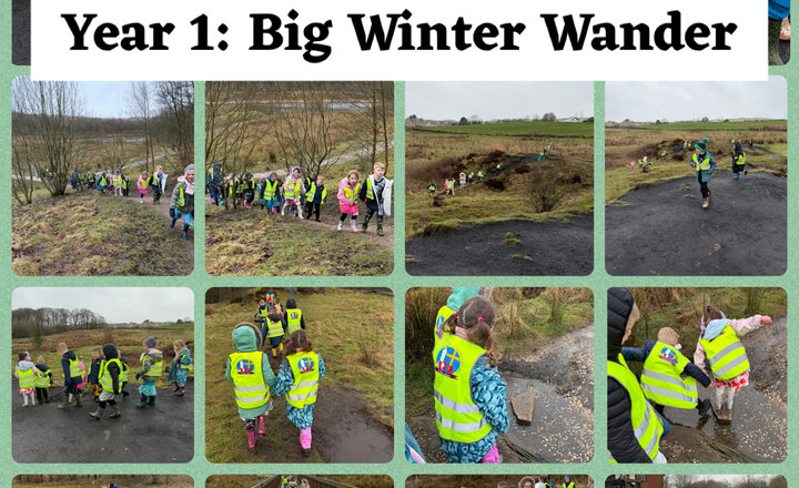 Image of Year 1: Big Winter Wander