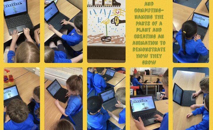 Image of Year 1 Science and Computing- How Does a Plant Grow? 