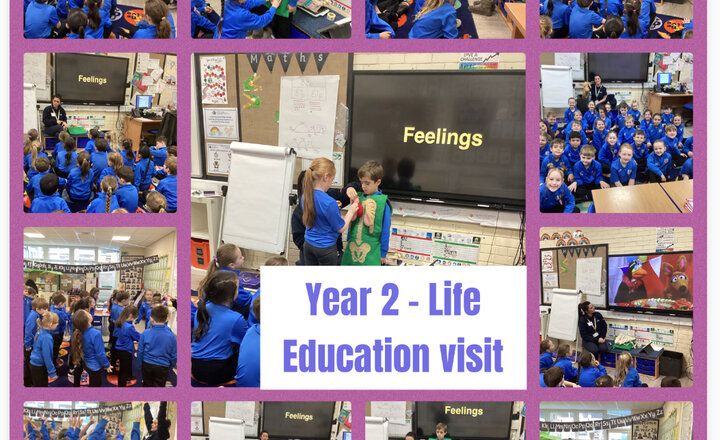 Image of Year 2 - Life Education Visit