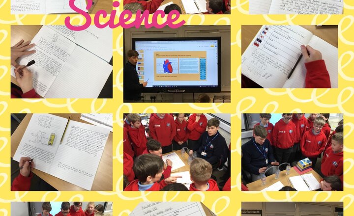 Image of Year 6 Science