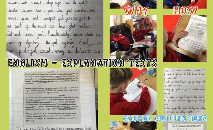 Image of Year 6 English - Explanation Texts