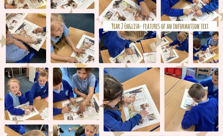 Image of Year 2 English- Features of an Information Text 