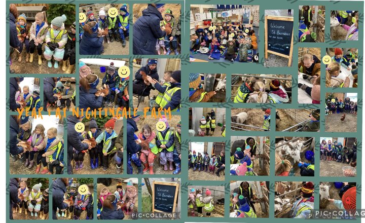 Image of Year 1 Visit Nightingale Farm