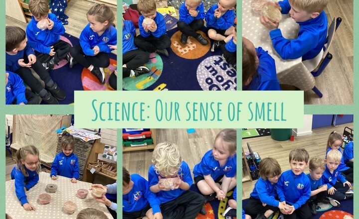 Image of Reception - Our sense of smell