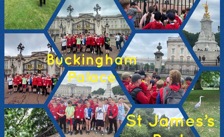 Image of Buckingham Palace & St Jame’s Park 