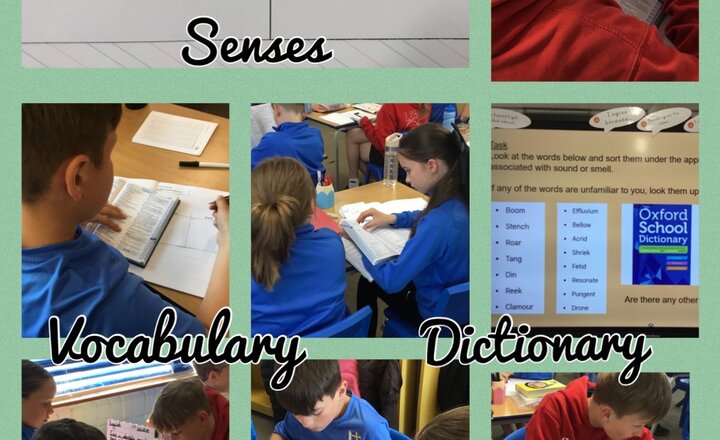 Image of Year 6 - English