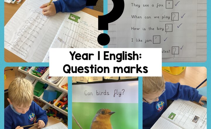 Image of Year 1 English: Question Marks