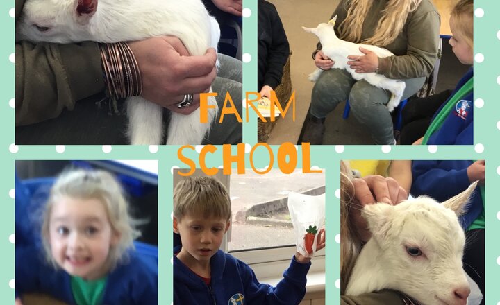 Image of Farm school 