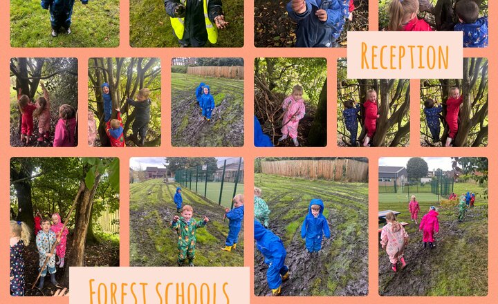 Image of Reception: Forest Schools