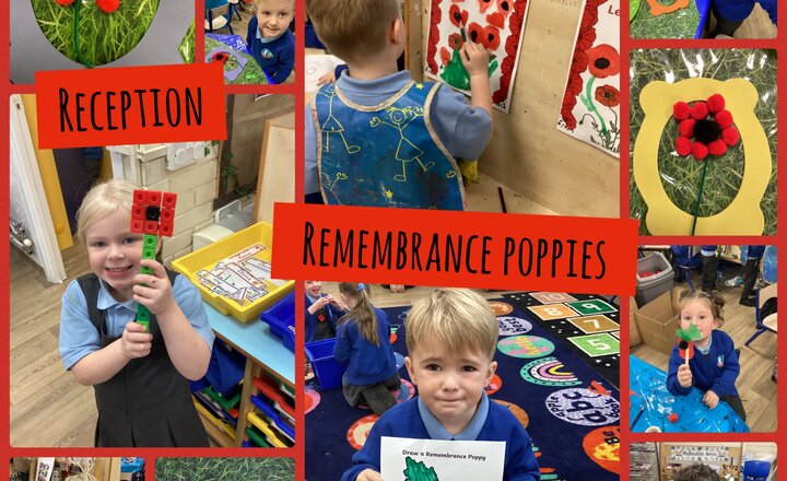 Image of Reception - Remembrance Poppies