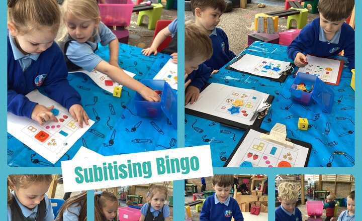 Image of Reception Maths - Subitising Bingo