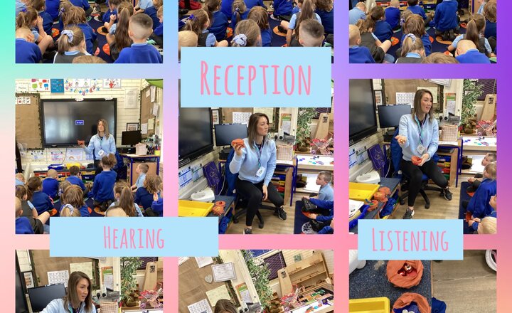 Image of Reception- Understanding the world- Our senses