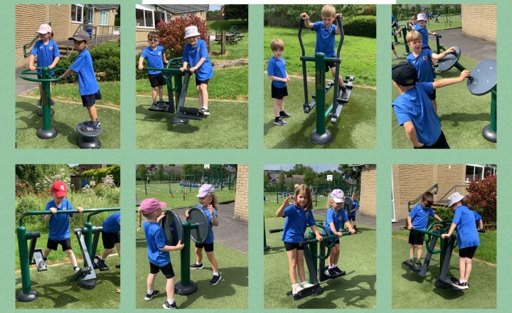 Image of Year 1: Fun On The Outdoor Gym