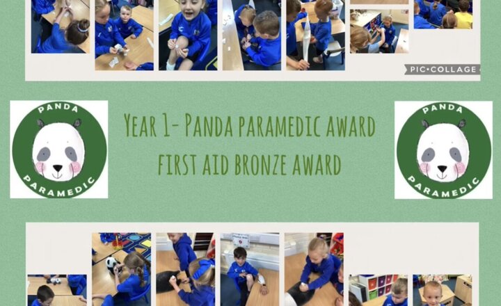 Image of Year 1 Panda Paramedic First Aid Bronze Award 