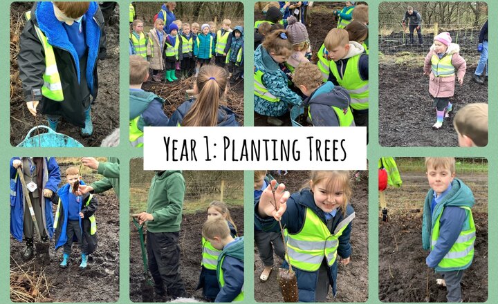 Image of Year 1: Planting Trees