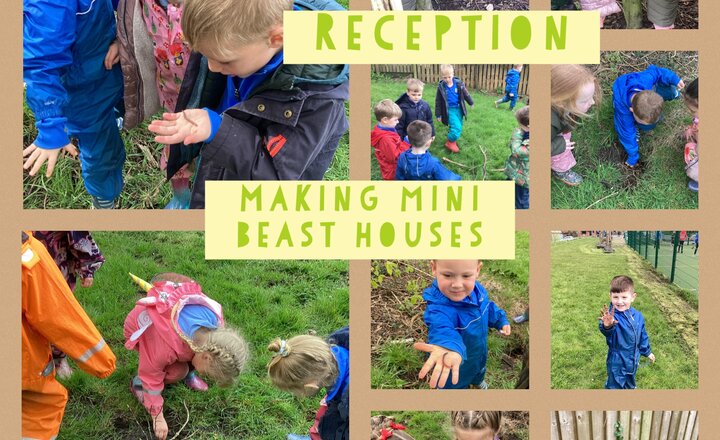 Image of Reception- Making bug houses 