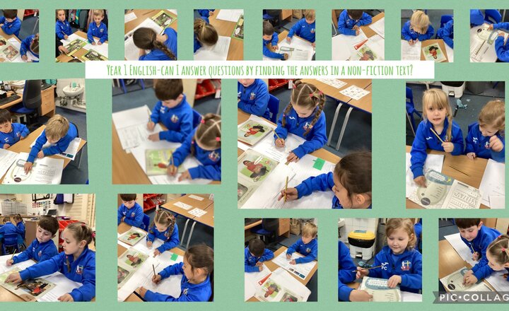 Image of Year 1 English- Finding Key Information in Non-Fiction Texts 