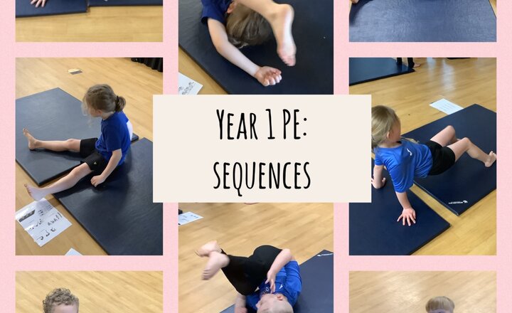 Image of Year 1 PE: Sequencing 