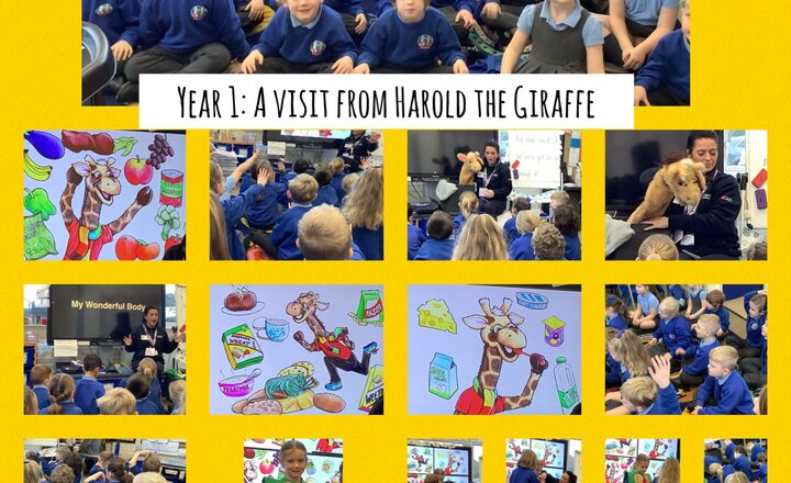 Image of Year 1: A Visit from Harold the Giraffe
