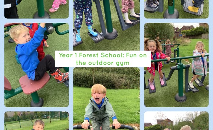 Image of Year 1 Forest School: Fun On The Outdoor Gym