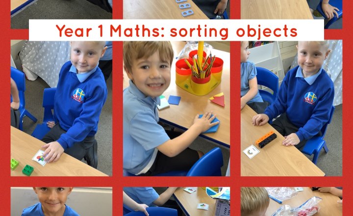 Image of Year 1 Maths: Sorting Objects